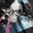Damen T-Shirt Lazer Cats
